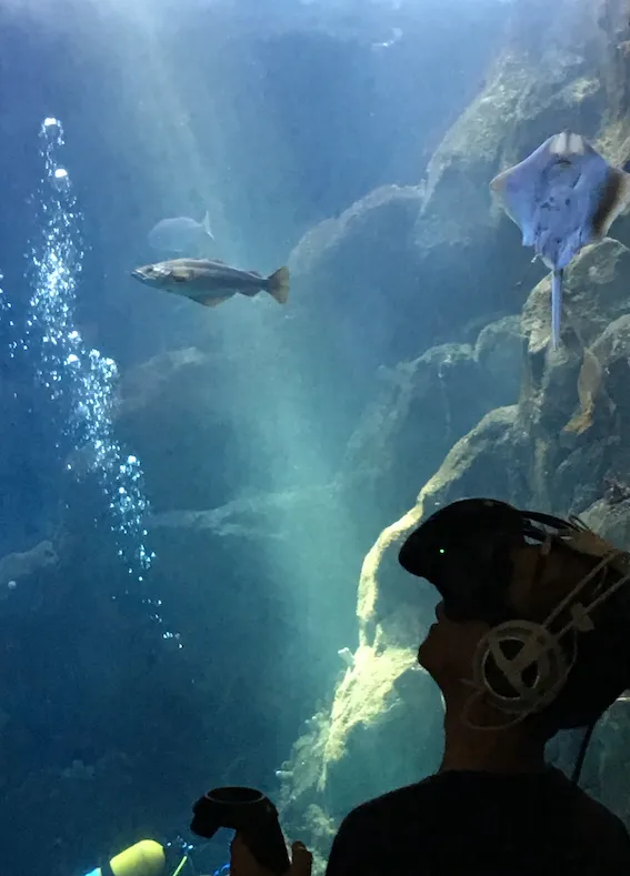A person wearing a VR headset in front of a giant aquarium tank at the Plymouth National Aquarium, appears to gaze up at a fish above their head